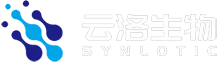 Синнлотикалық биотехнологиялық (Шанхай) CO., Ltd.