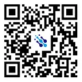 QR коды