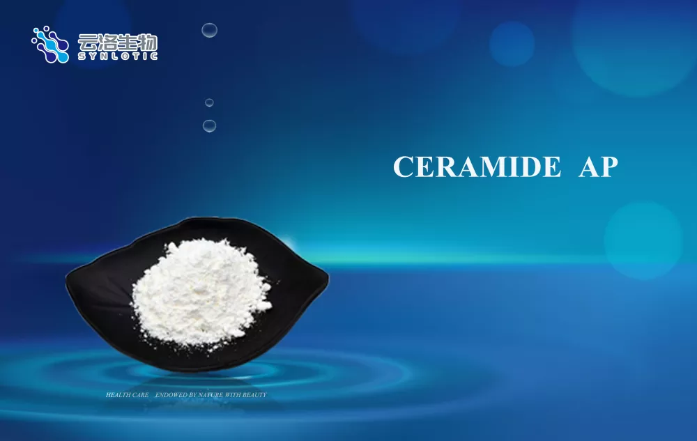 Ceramide AP жетілдірілген косметикалық құрамдарды әзірлеуді қалай қолдайды?