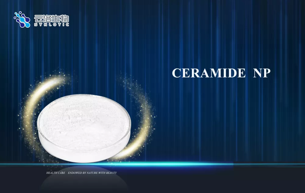 Ceramide NP заманауи косметикадағы тері тосқауылдарын қалай қолдайды?