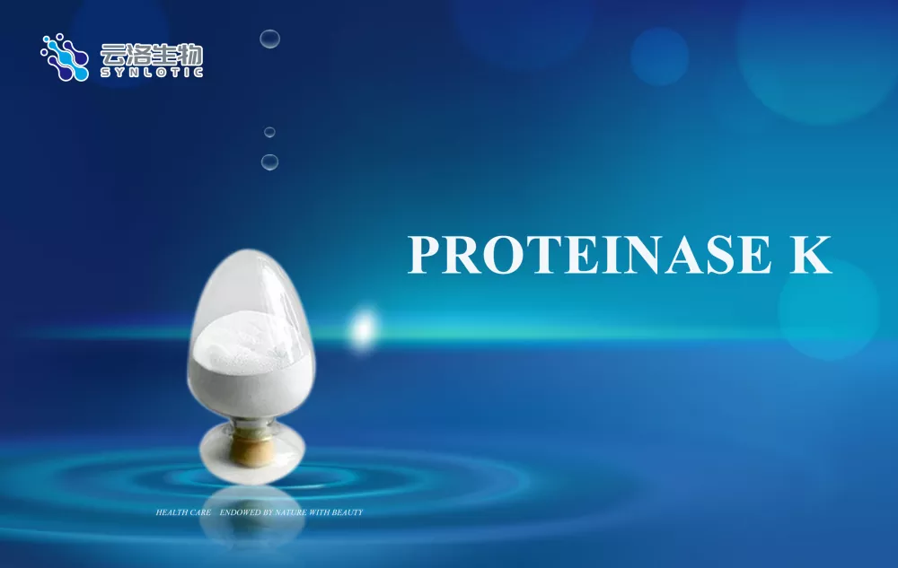 Протеиназа k